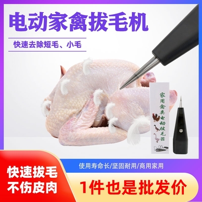 家禽产品信息