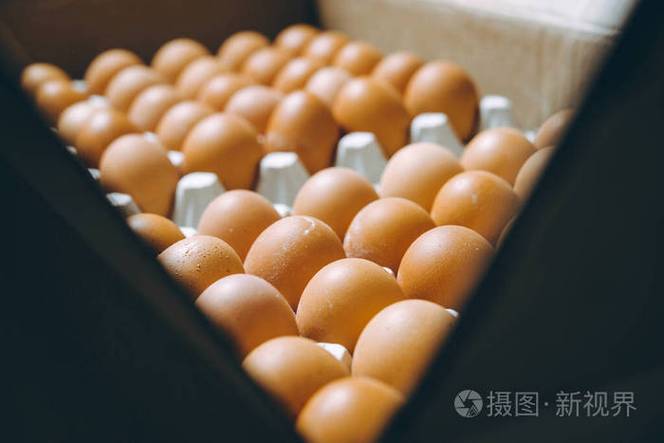 鸡蛋厂工厂农业家禽养鸡场